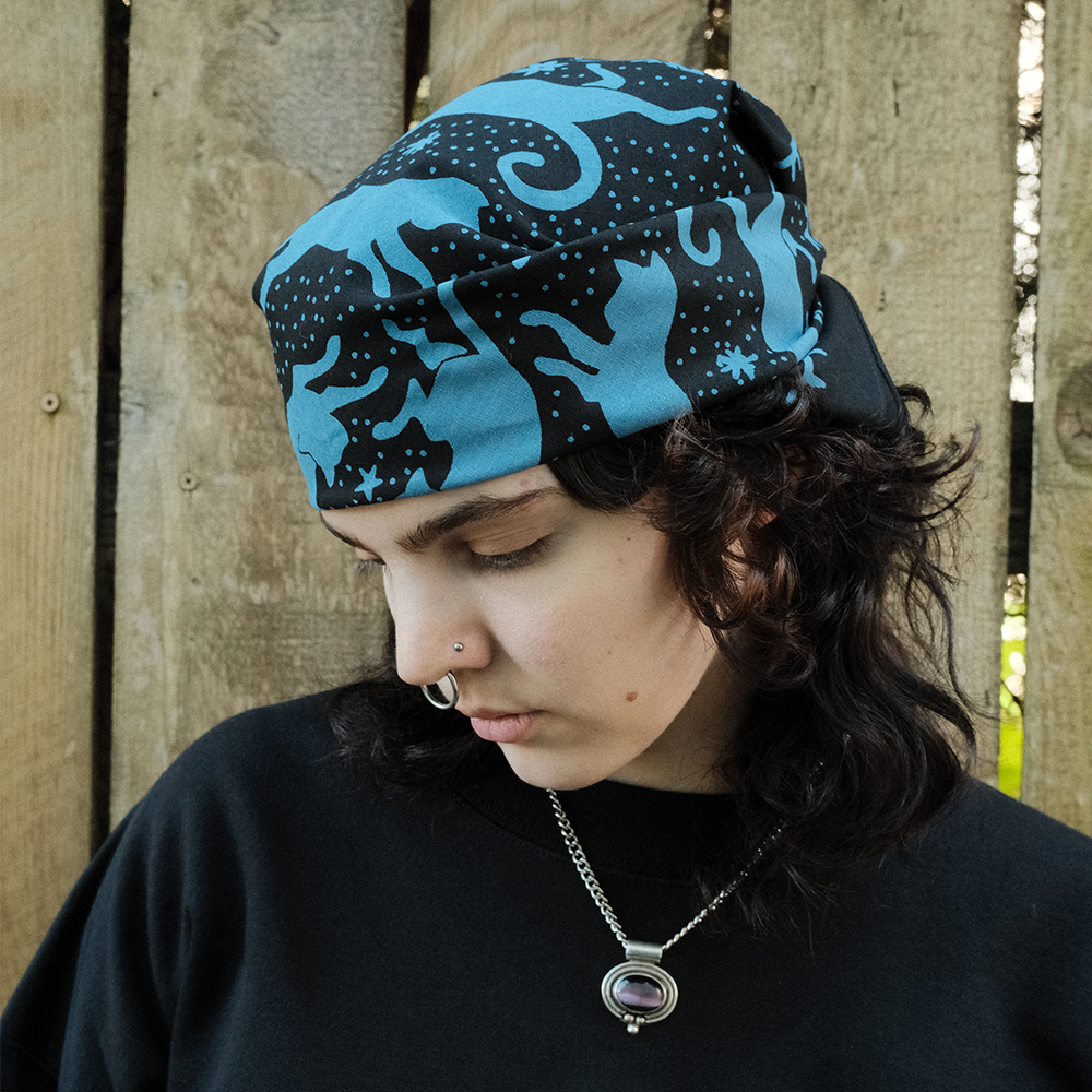 Cat Bandana Lifestyle 4